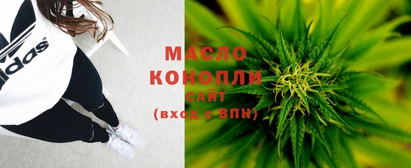 дживик Горняк