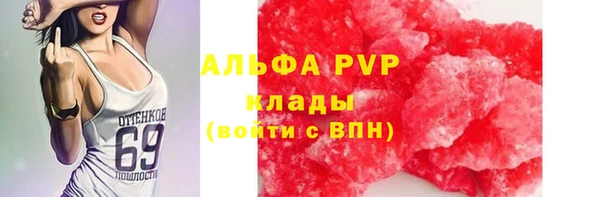 стаф Горно-Алтайск
