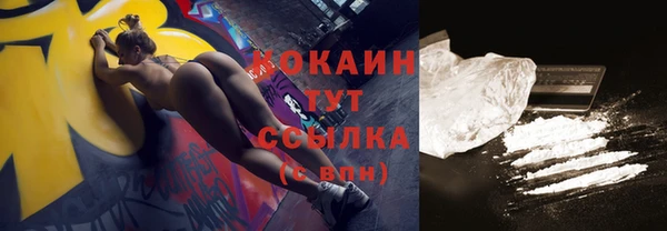 дживик Горняк
