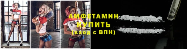 дживик Горняк