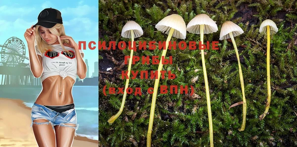 марки nbome Горнозаводск