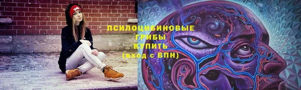 стаф Горно-Алтайск